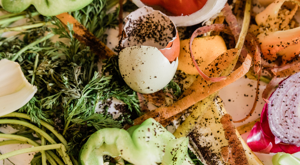 "Золото" в компостере: как компостирование помогает бороться с мусорными полигонами 